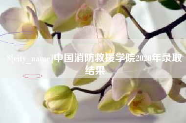 池州中国消防救援学院2020年录取结果