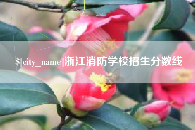 池州浙江消防学校招生分数线