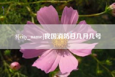 池州我国消防日几月几号
