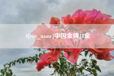 池州中国金牌18金