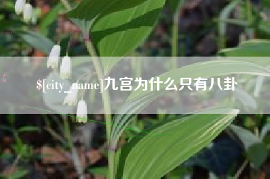 池州九宫为什么只有八卦