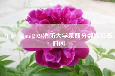 池州2024消防大学录取分数线公布时间