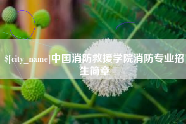 池州中国消防救援学院消防专业招生简章