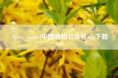 池州中国消防公众号app下载