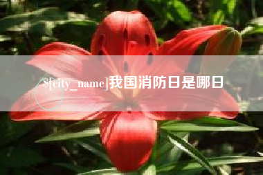 池州我国消防日是哪日