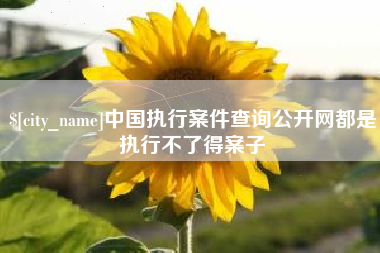 池州中国执行案件查询公开网都是执行不了得案子