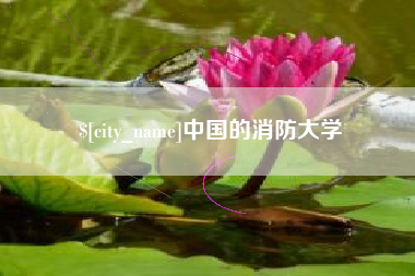 池州中国的消防大学