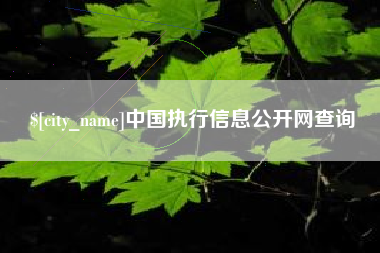 池州中国执行信息公开网查询