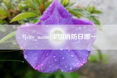 池州全国消防日哪一