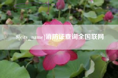 池州消防证查询全国联网