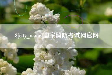 池州国家消防考试网官网
