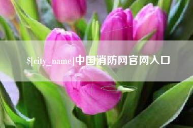 池州中国消防网官网入口