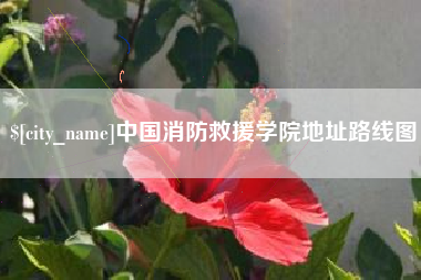 池州中国消防救援学院地址路线图