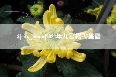 池州2022年九宫格飞星图