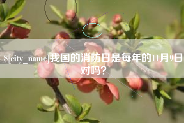 池州我国的消防日是每年的11月9日对吗？