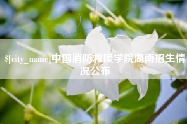 池州中国消防救援学院湖南招生情况公布