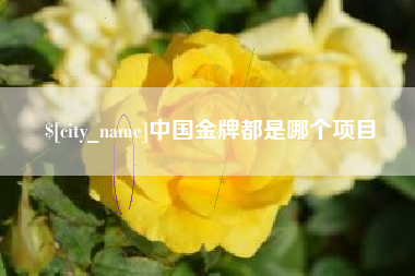 池州中国金牌都是哪个项目