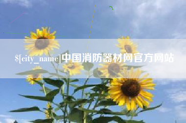 池州中国消防器材网官方网站