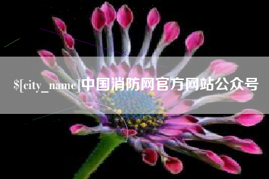 池州中国消防网官方网站公众号