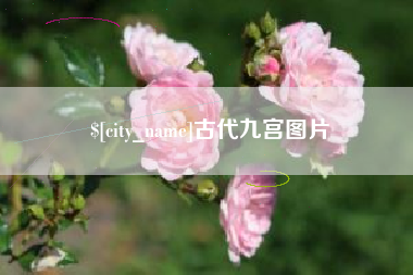 池州古代九宫图片