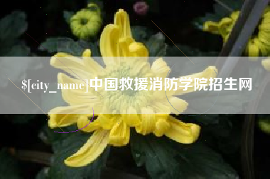 池州中国救援消防学院招生网