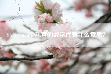 池州九宫的数字代表什么意思？