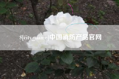 池州中国消防产品官网