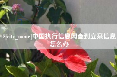 池州中国执行信息网查到立案信息怎么办