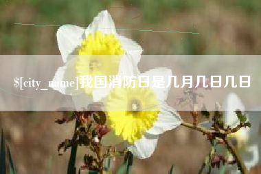 池州我国消防日是几月几日几日
