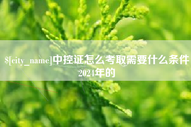 池州中控证怎么考取需要什么条件2024年的