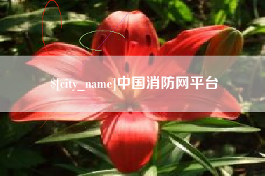 池州中国消防网平台