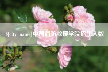 池州中国消防救援学院招生人数