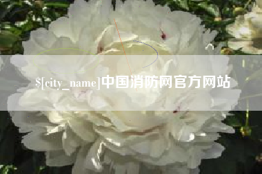 池州中国消防网官方网站