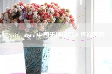 池州中国失信执行人查询官网