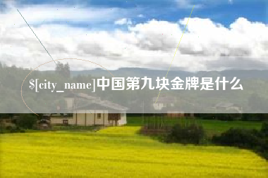 池州中国第九块金牌是什么