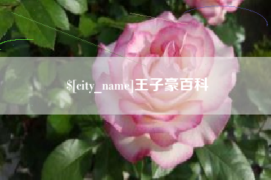 池州王子豪百科