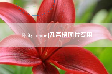 池州九宫格图片专用