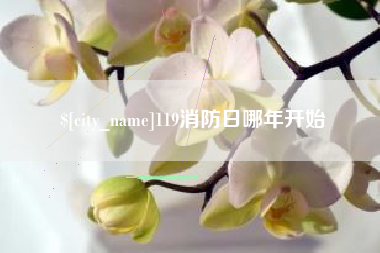 池州119消防日哪年开始