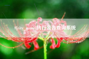 池州执行公告查询系统