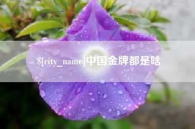池州中国金牌都是啥