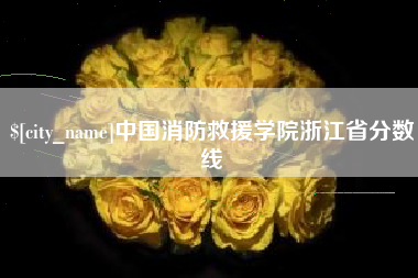 池州中国消防救援学院浙江省分数线