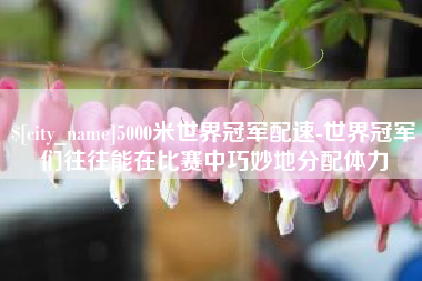 池州5000米世界冠军配速-世界冠军们往往能在比赛中巧妙地分配体力