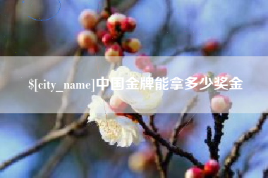 池州中国金牌能拿多少奖金