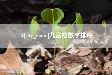 池州九宫格数字排序