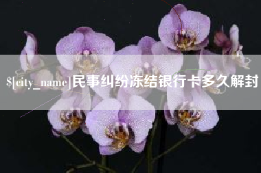 池州民事纠纷冻结银行卡多久解封