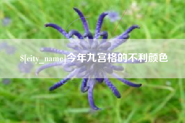 池州今年九宫格的不利颜色