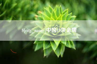池州中国19块金牌