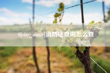 池州消防证查询怎么查