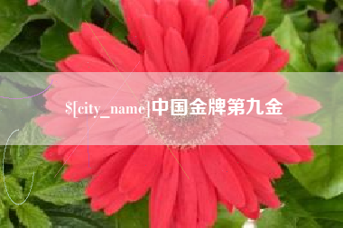 池州中国金牌第九金