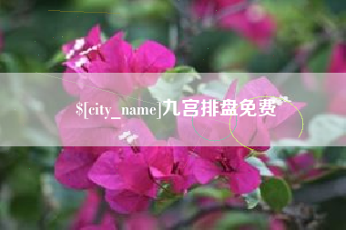 池州九宫排盘免费